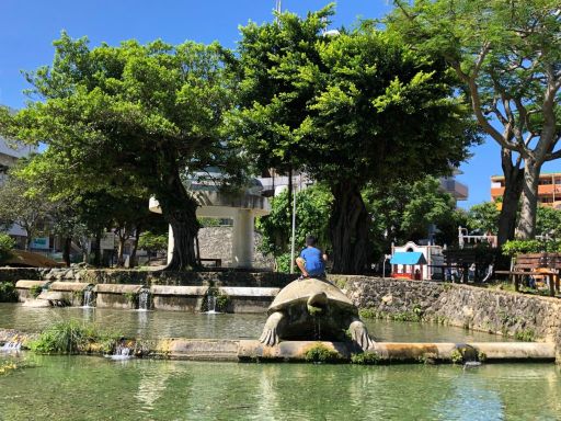 わかたけ公園（通称：カメ公園）