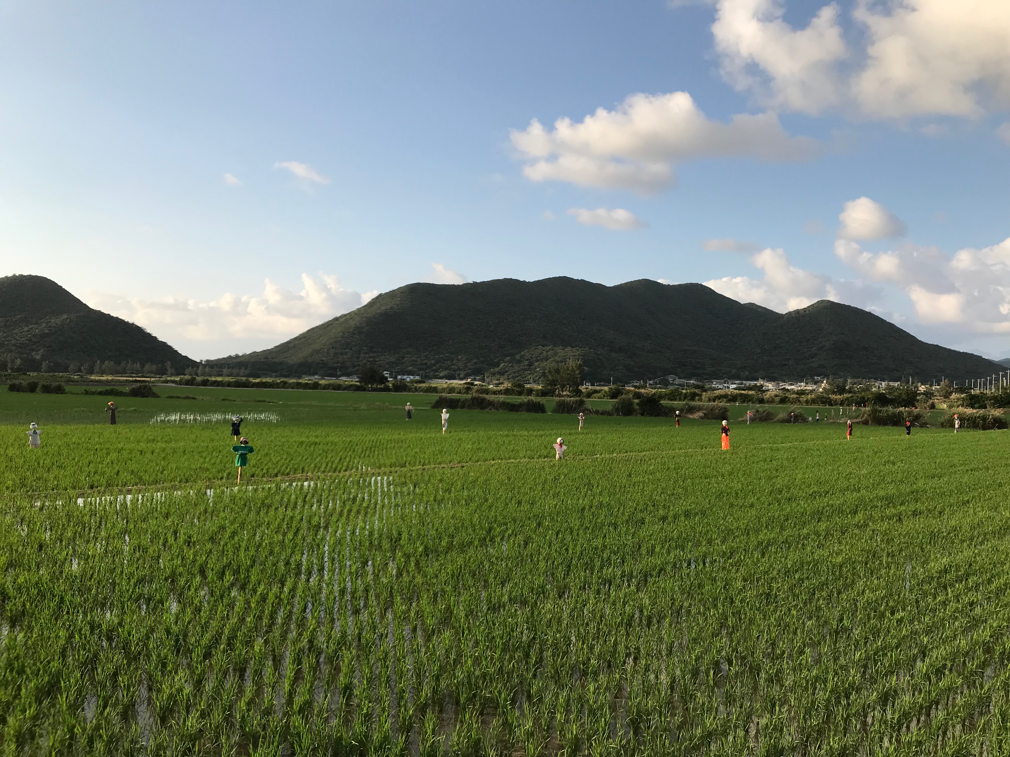 山の麓に田んぼの広がる伊平屋島の風景