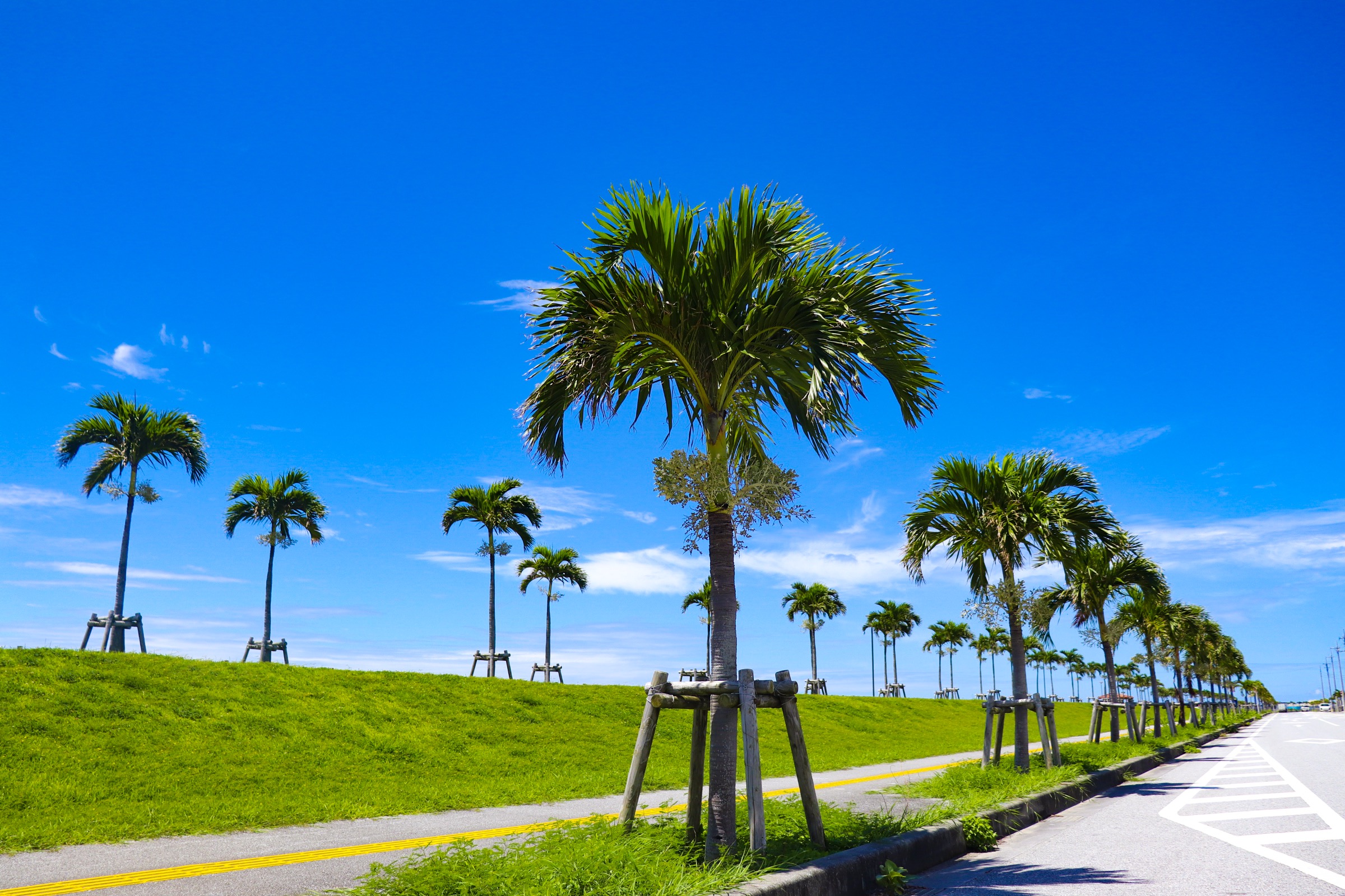 BBDBC59C-1F15-4C10-AB3A-