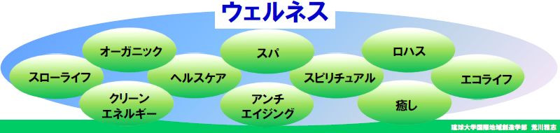 ウェルネスが包含する分野