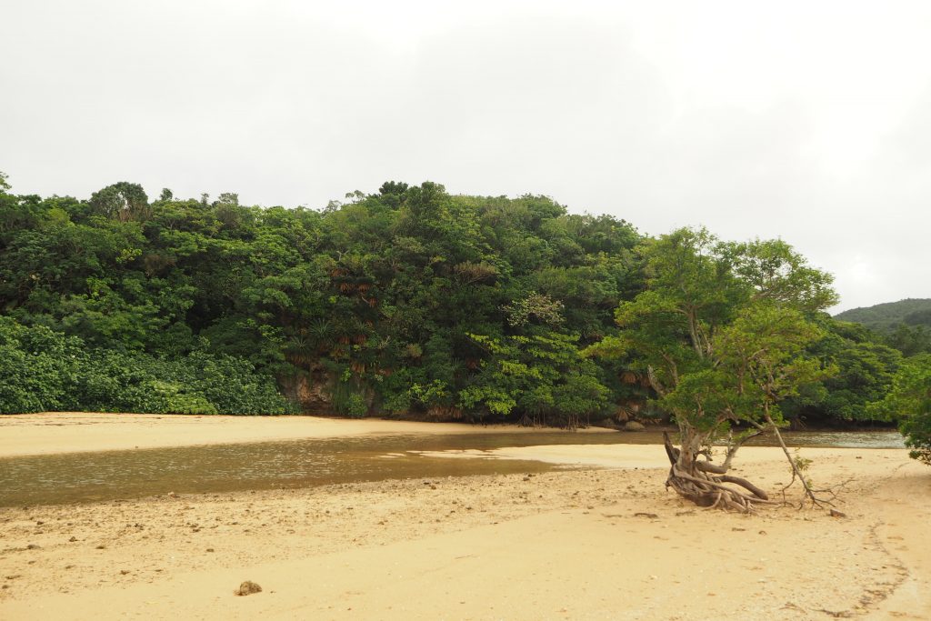 悪天の日は 車で行く石垣島絶景巡り その３ Okinawa41