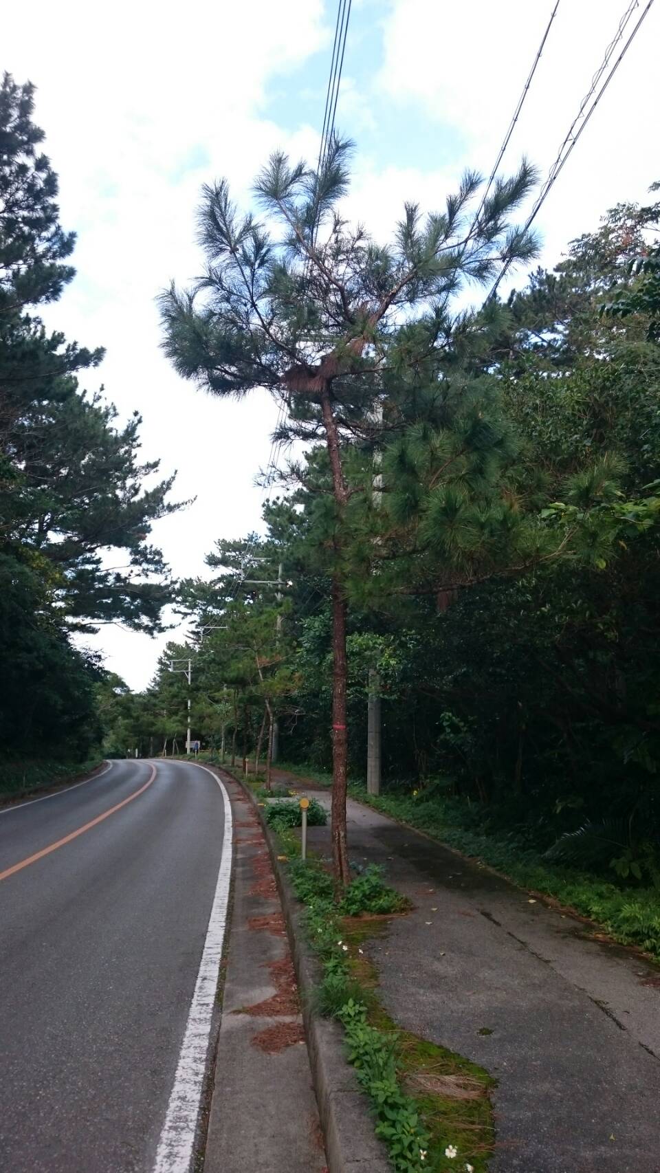 県道70号線を下る