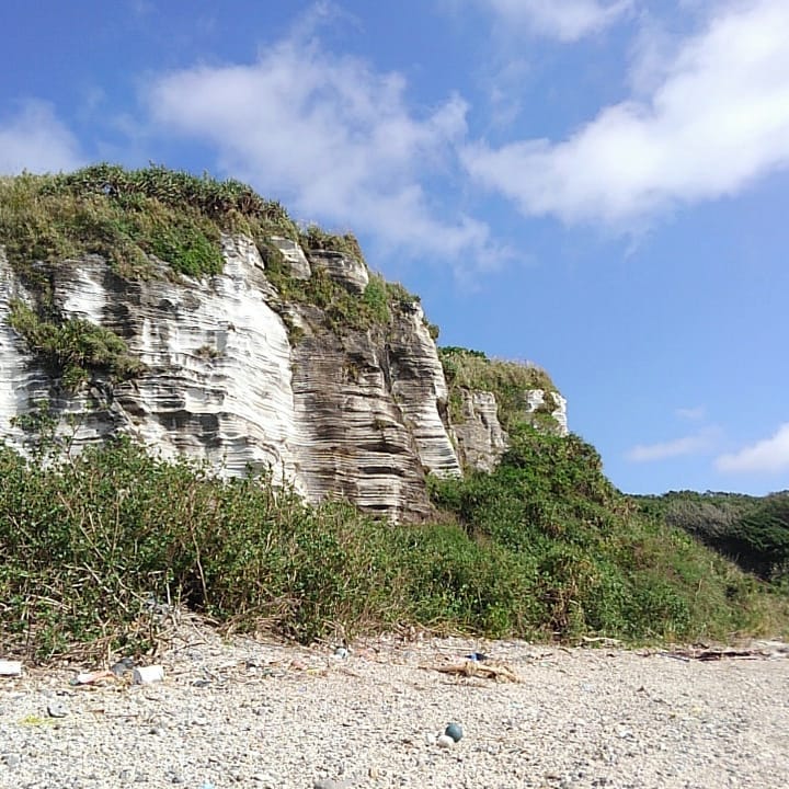 ミルフィーユ状の地層 Okinawa41
