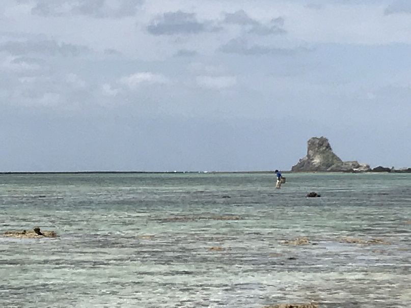 貝拾いや潮干狩り、魚釣りなどを楽しむ日