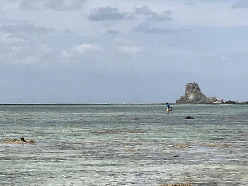 貝拾いや潮干狩り、魚釣りなどを楽しむ日