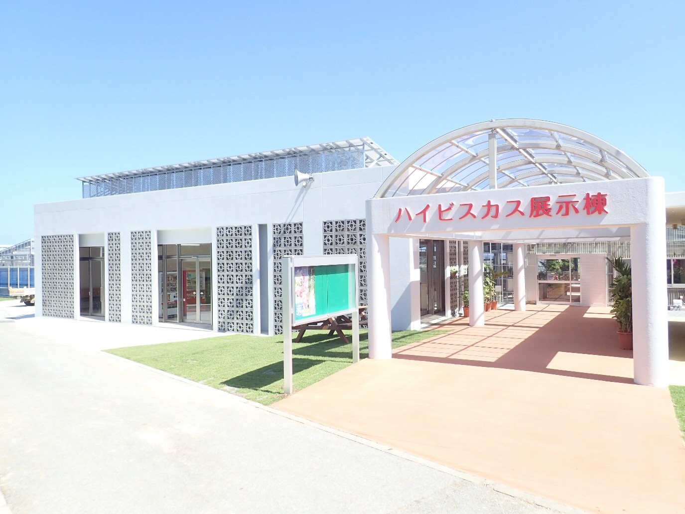 伊江島ハイビスカス園ハイビスカス展示棟