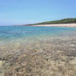 透き通る海
