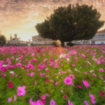 Flowery morning