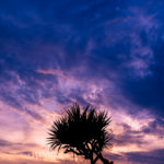 sexy sunset