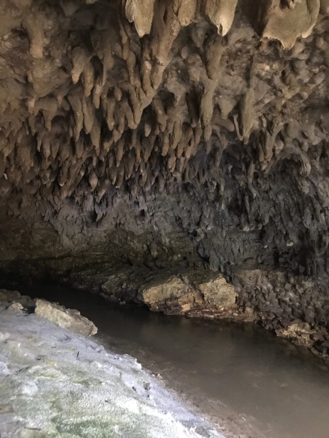 暗い洞窟