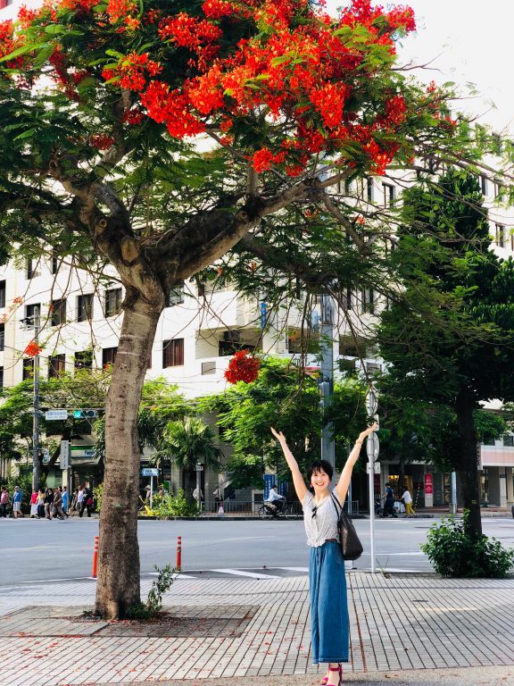 世界三大花木 ホウオウボク In 沖縄 Okinawa41