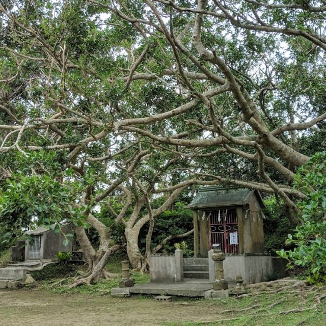 沖縄神社について