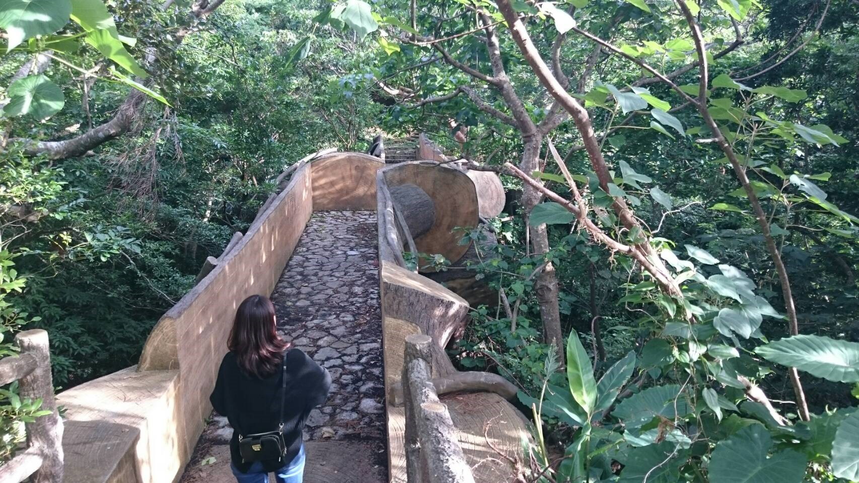 大きな切り株の橋が