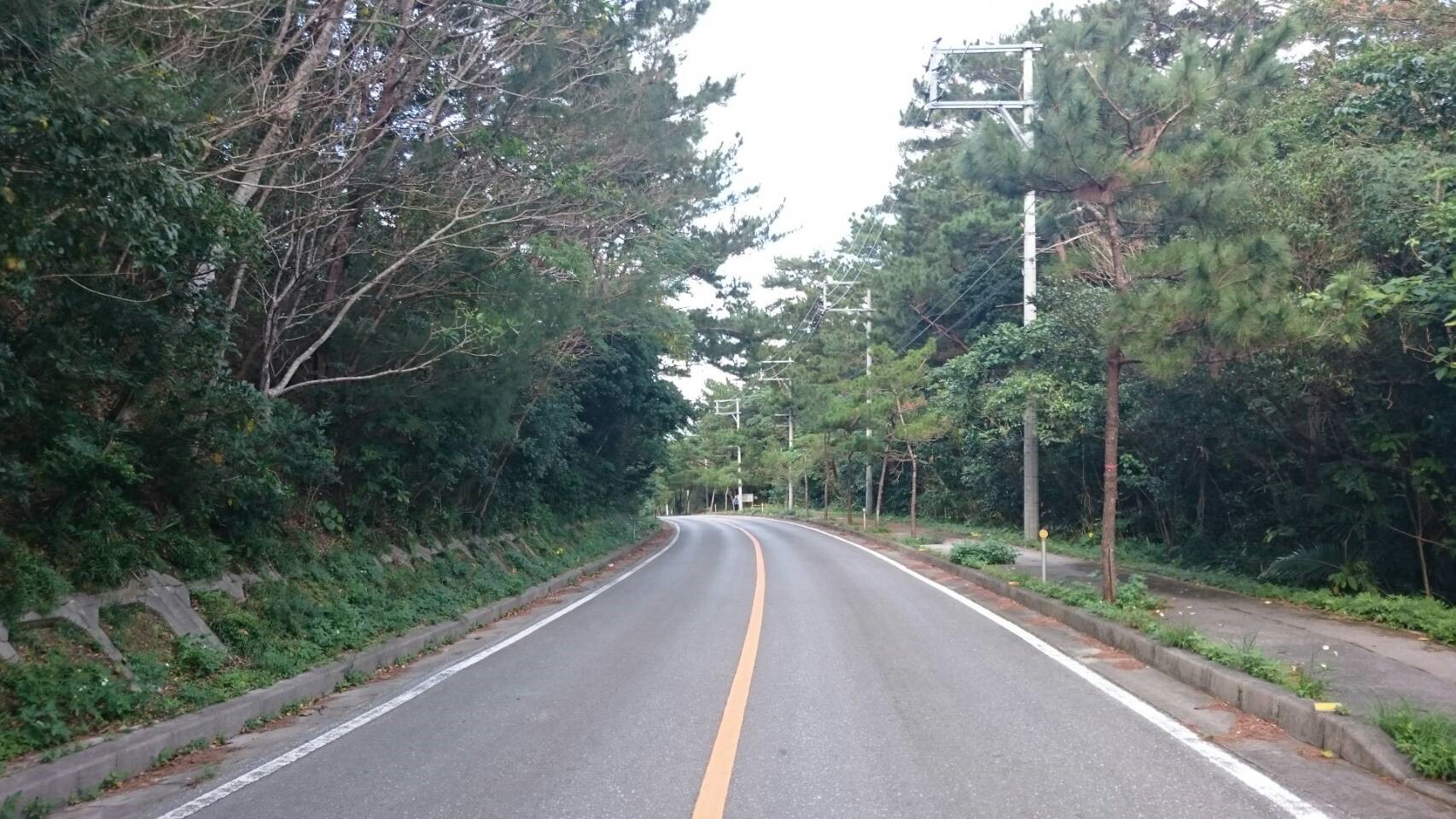 県道70号線を下る