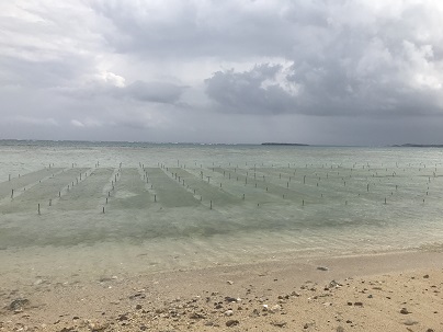 島尻の海広がる鉄筋