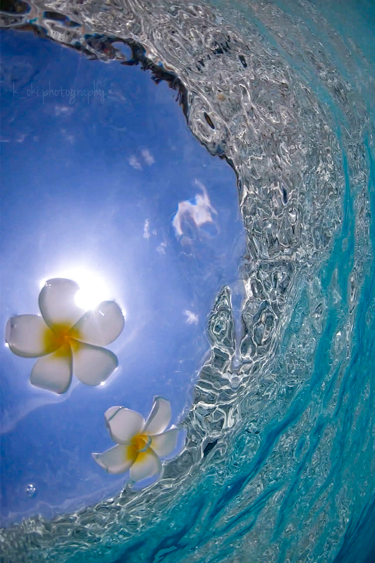 プルプルプルメリア - OKINAWA41