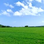 blue&green