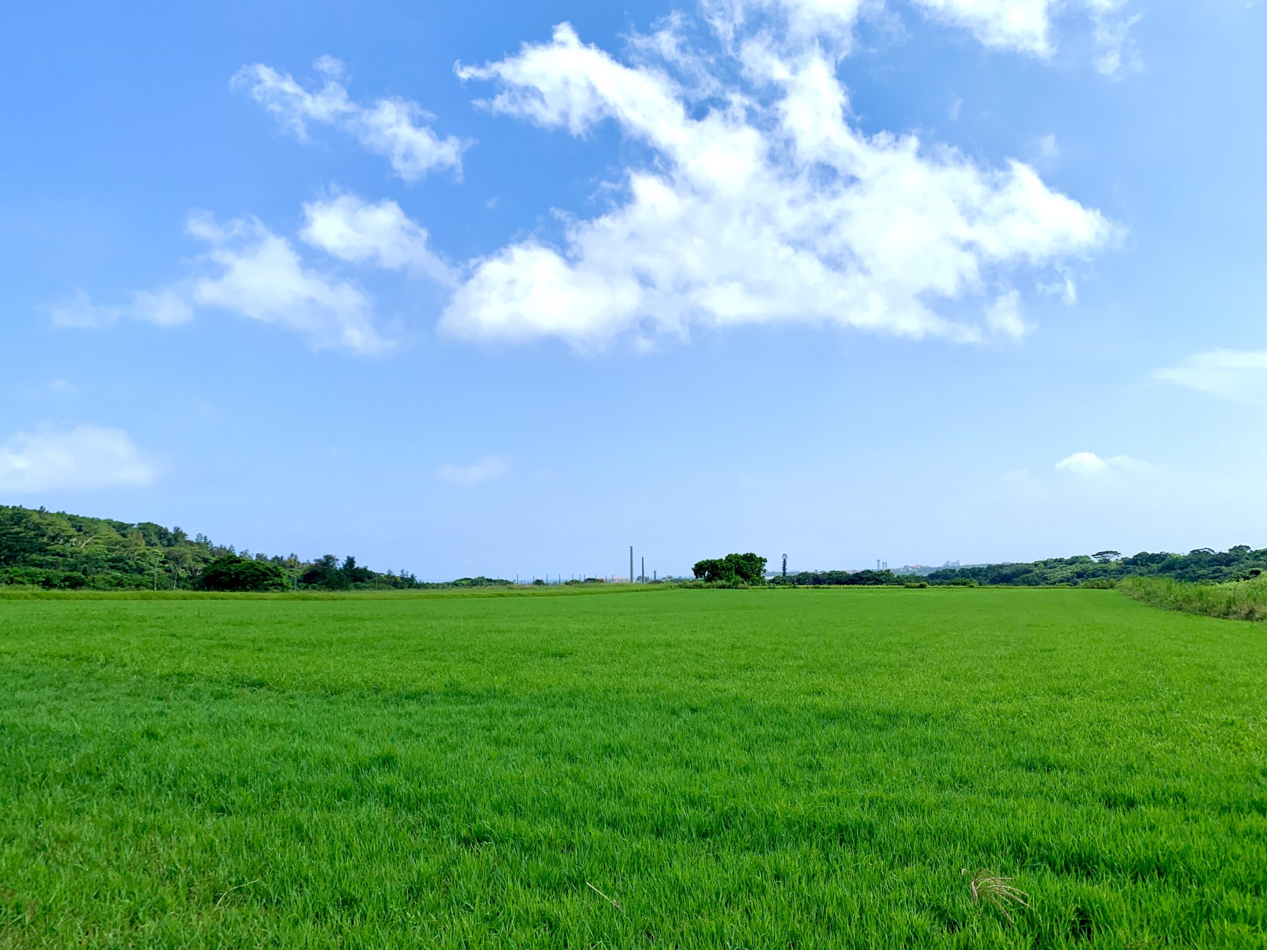 blue&green