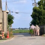 【名桜大学レポート】3密回避を意識した沖縄観光　－離島にも目を向けながら