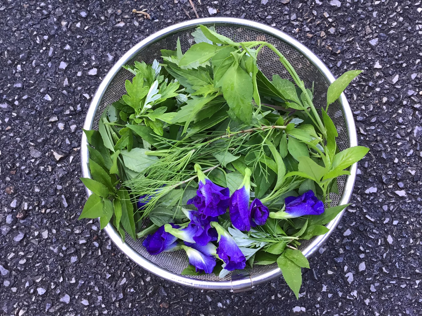 沖縄食材探訪vol.2〜身近な植物で健康維持！〜 そらいろのたね