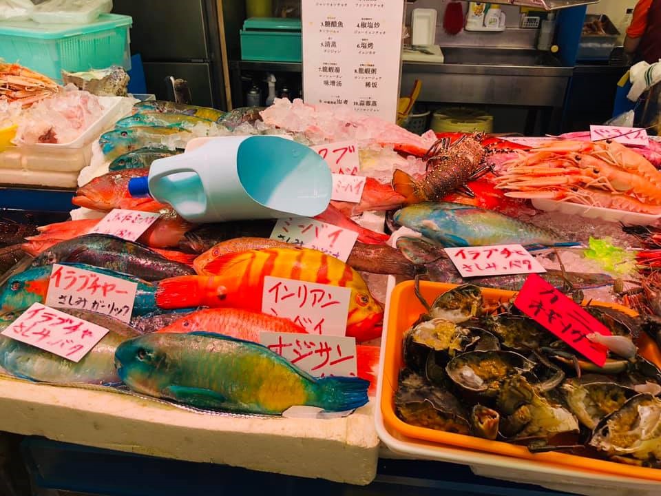 色鮮やかな沖縄の魚