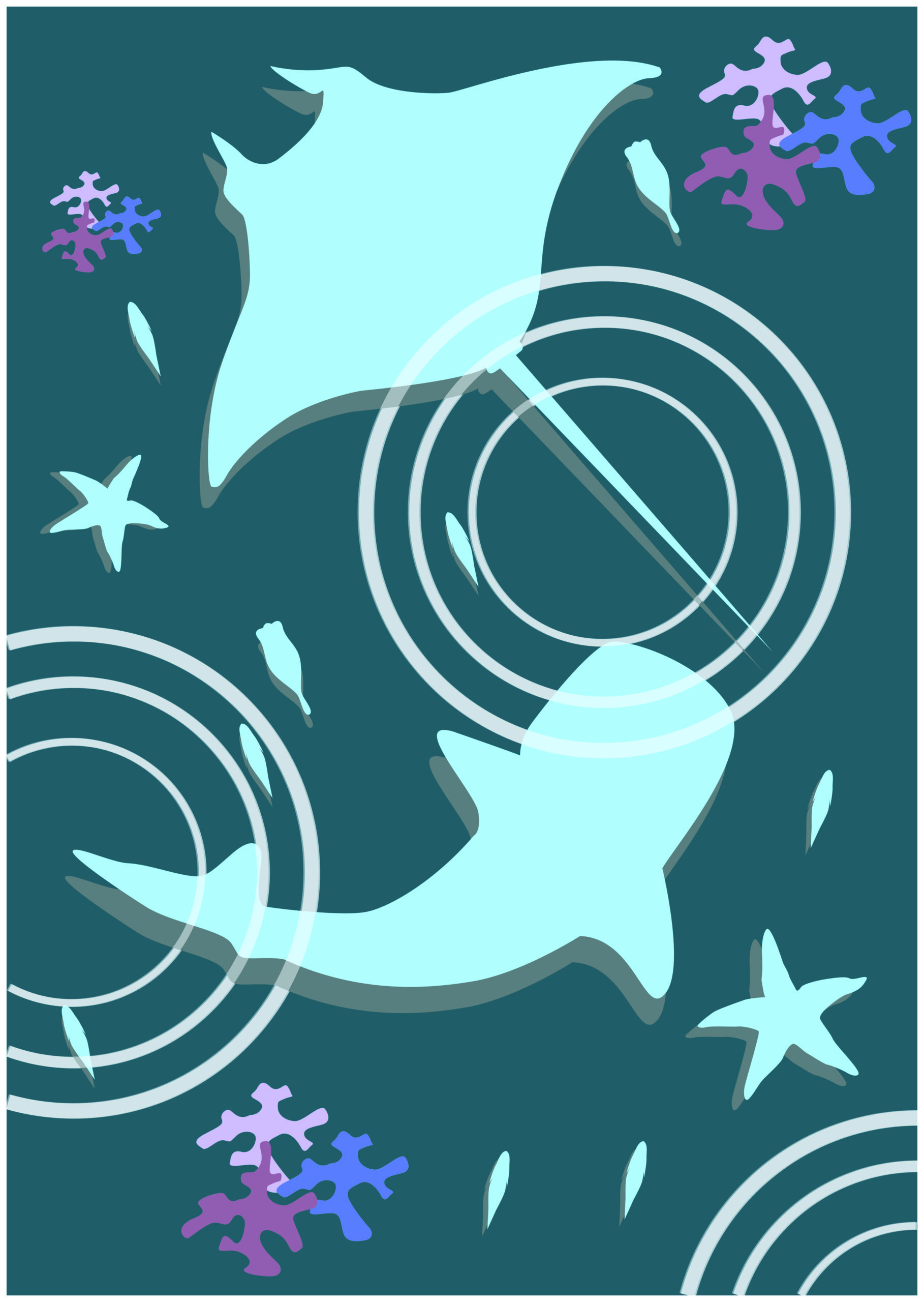 美ら海