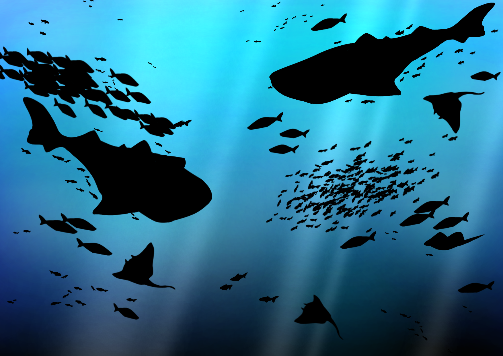 美ら海水族館