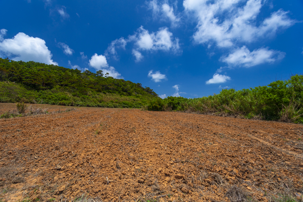 久米島赤土（令和３年５月７日）