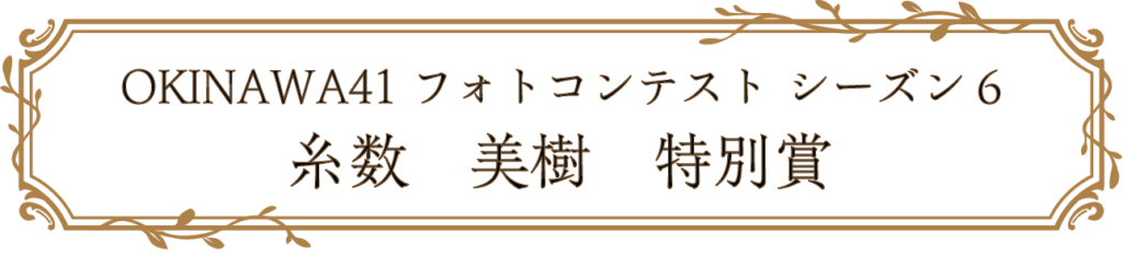 OKINAWA41フォトコンテスト シーズン6 糸数　美樹　特別賞