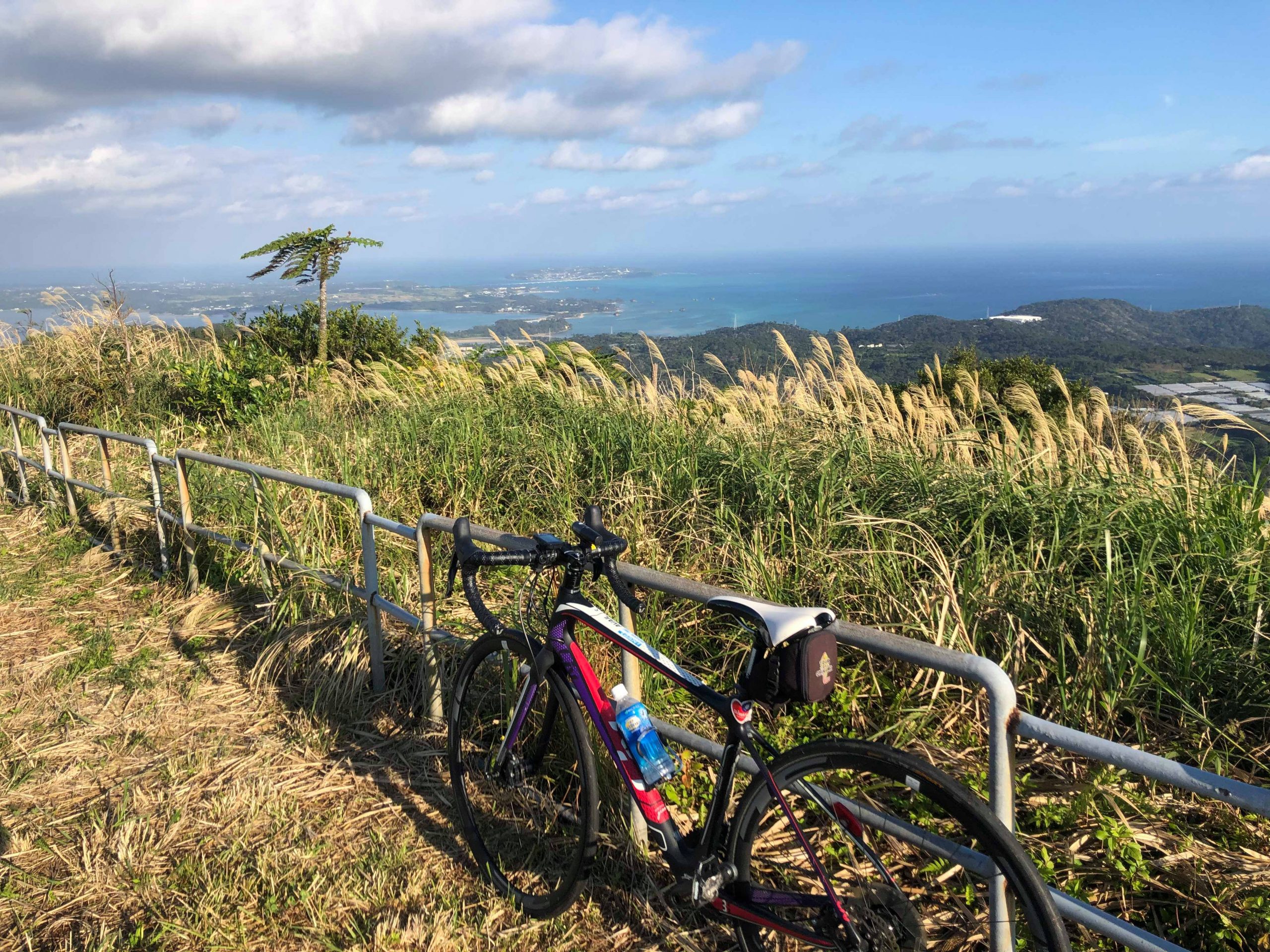 多野岳山頂