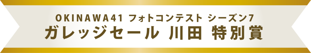 ガレッジセール 川田 特別賞