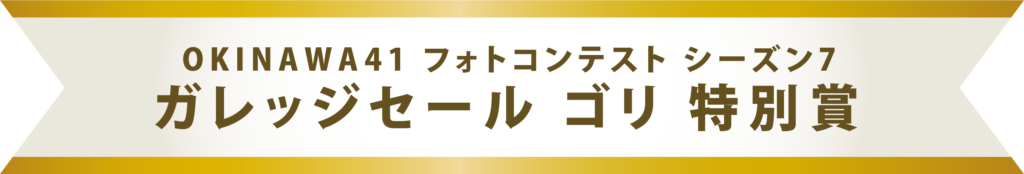 ガレッジセール ゴリ 特別賞