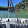 海釣りツアーの魅力