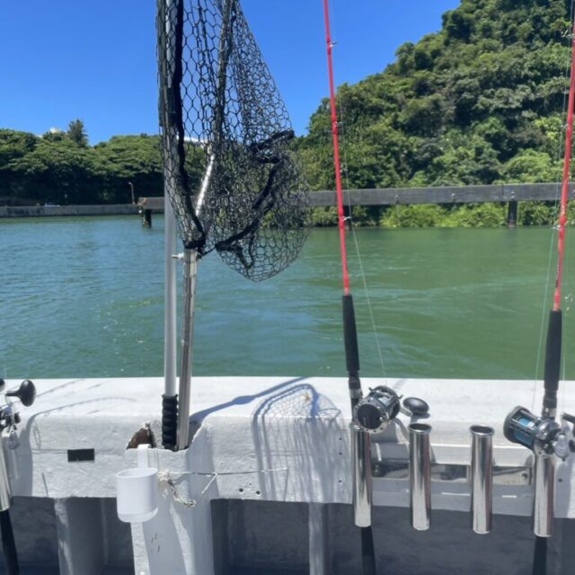 海釣りツアーの魅力