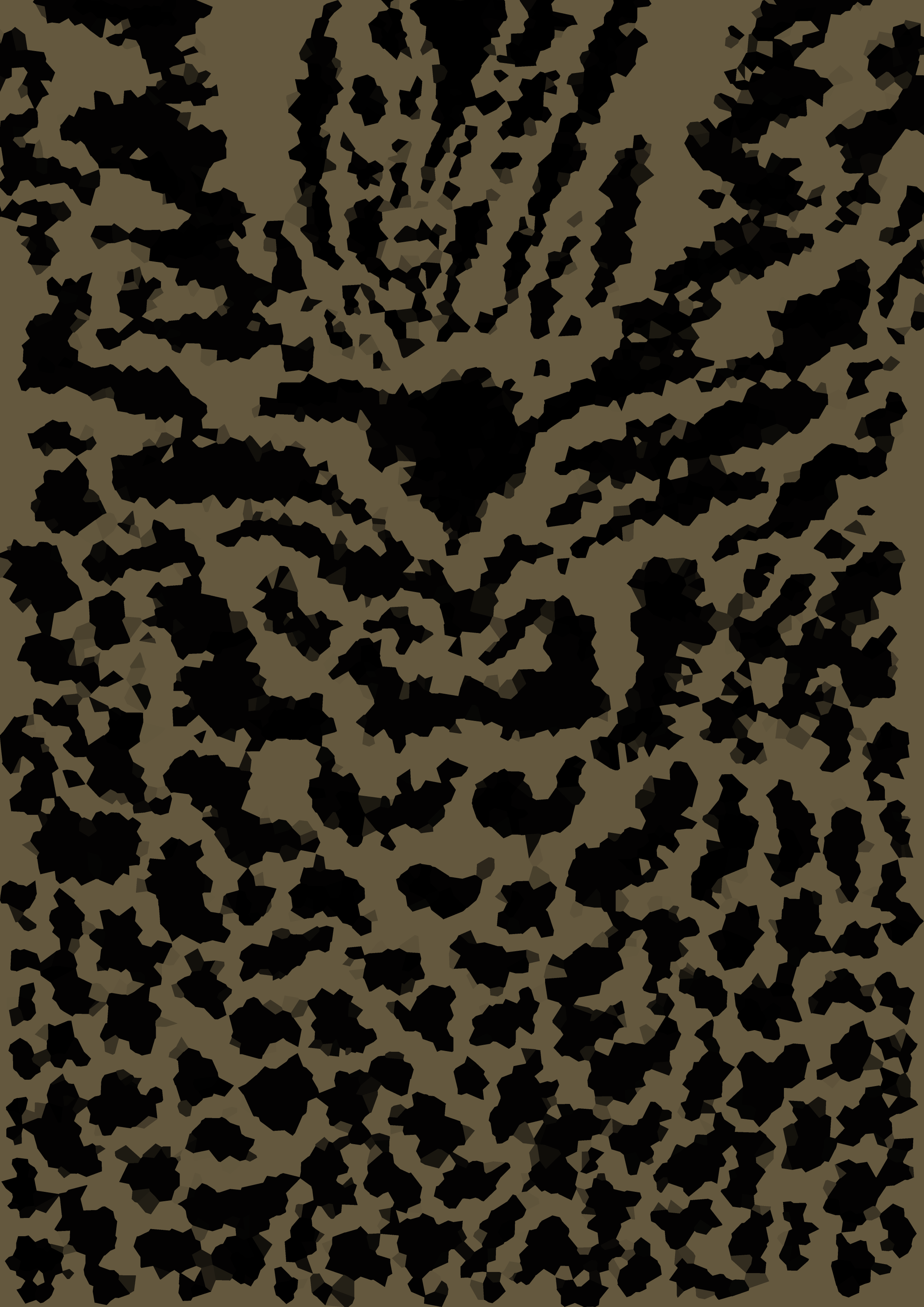 イリオモテ猫ページ EC2471DF-F4F5-4CAB-AA7C-