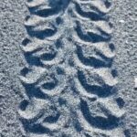 DCCBEEFF-2F62-4D40-B418-98BDE182847C