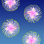 サガリバナ