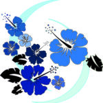 bc_20_ym