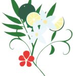 かりゆしウェア シークワーサー