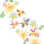 かれん