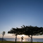Oki Tree