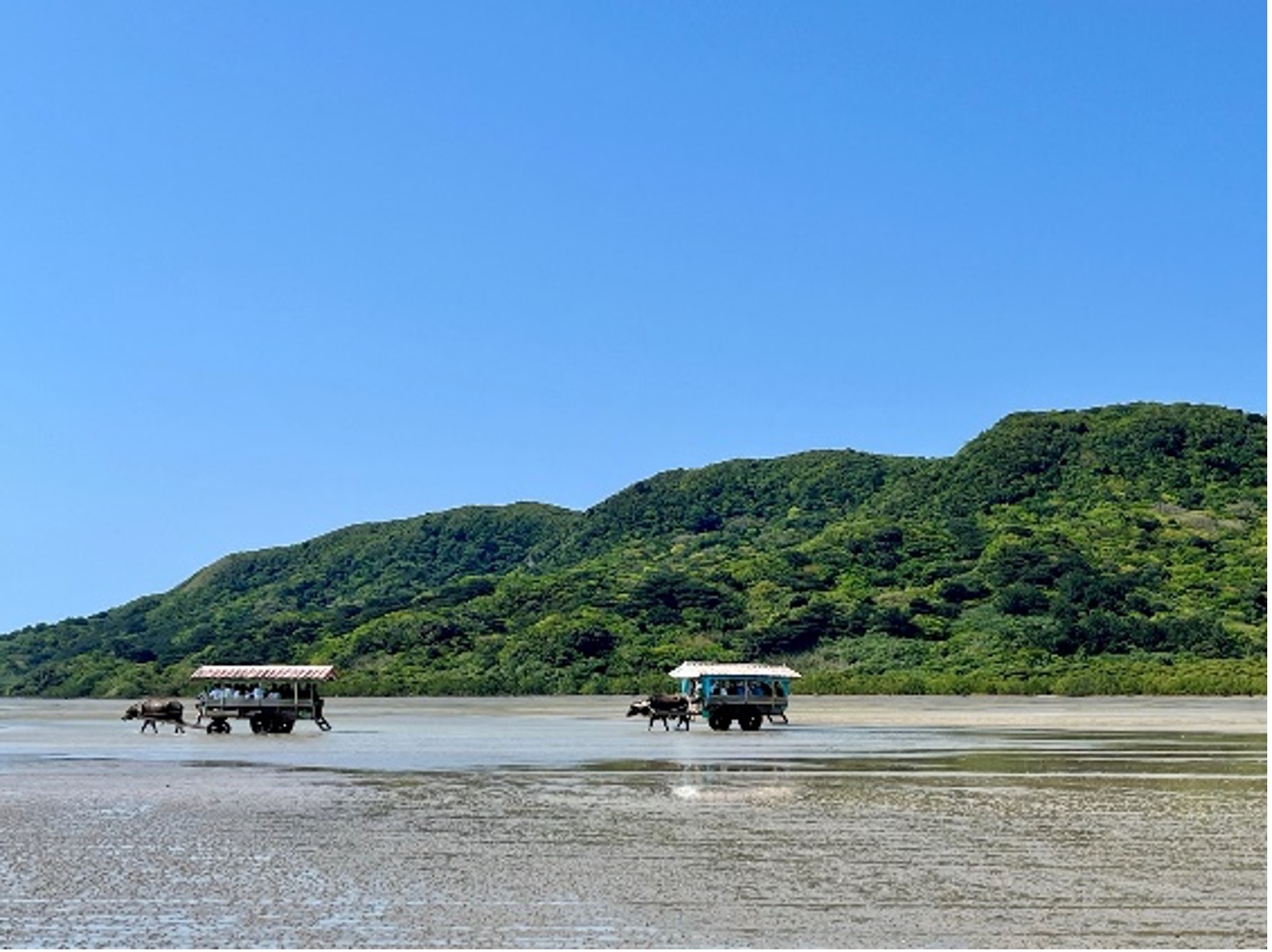 由布島